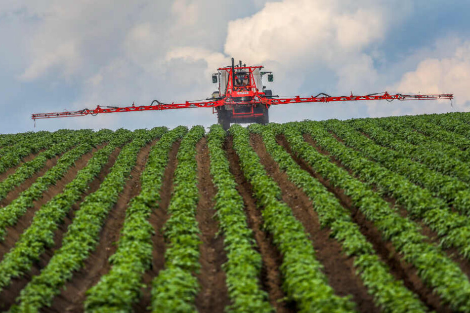 Ein Landwirt spritzt Pestizide auf ein Feld. (Symbolbild)