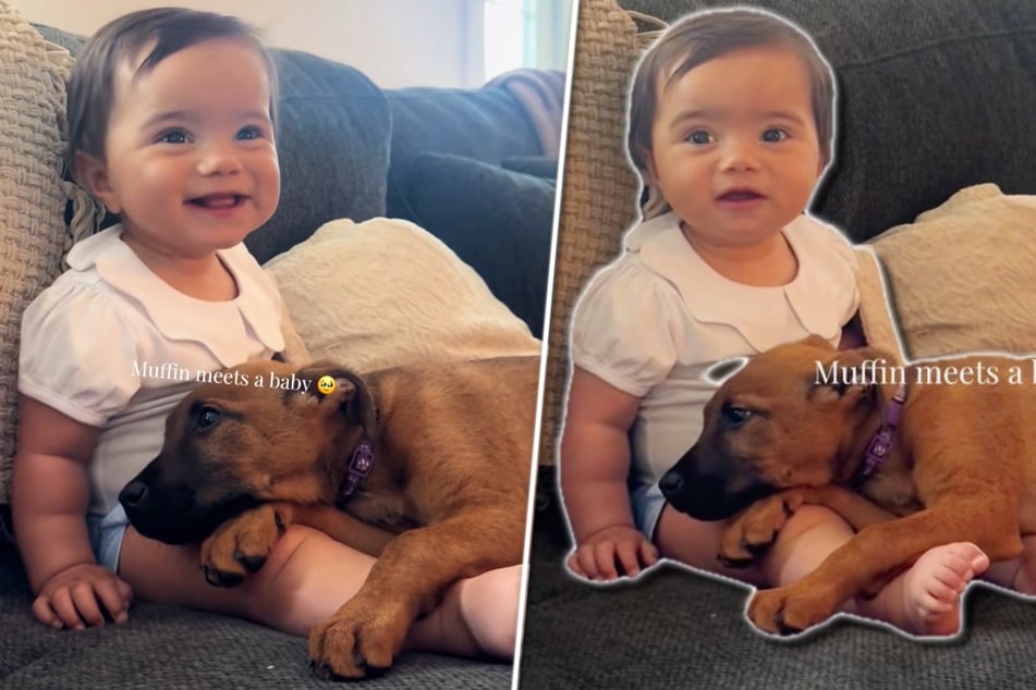 Viel zu süß! Baby und Welpe treffen aufeinander