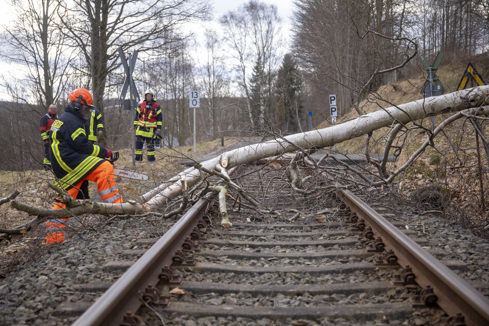Zwischen Chemnitz und Cranzahl blockierte ein umgestürzter Baum die Gleise.