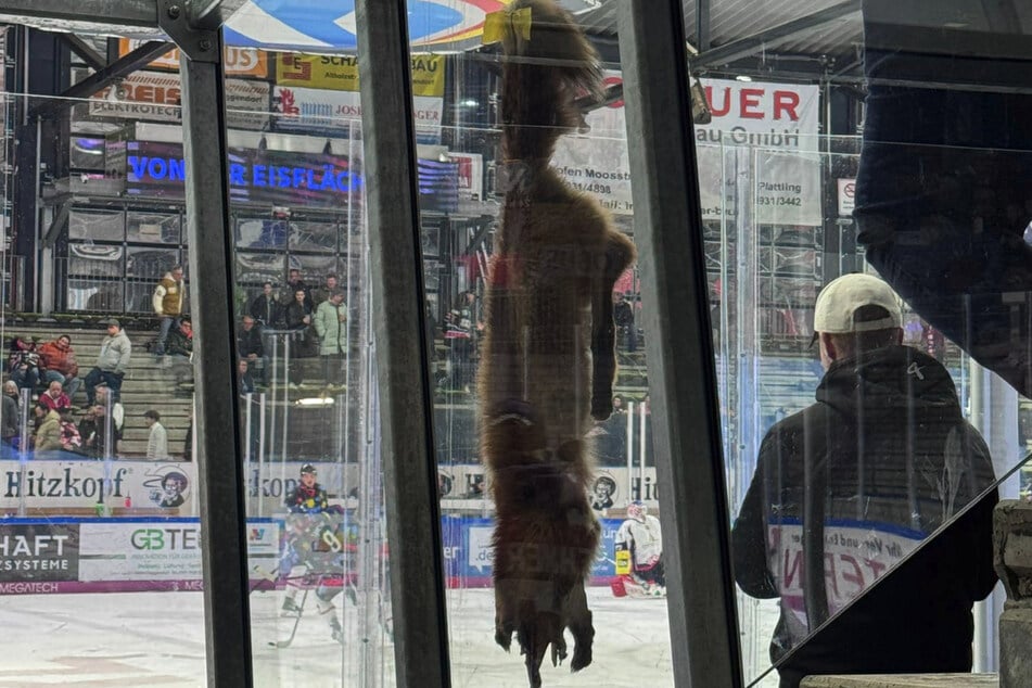 Fans des DSC hängten ein Fuchsfell an die Bank der Duisburger.