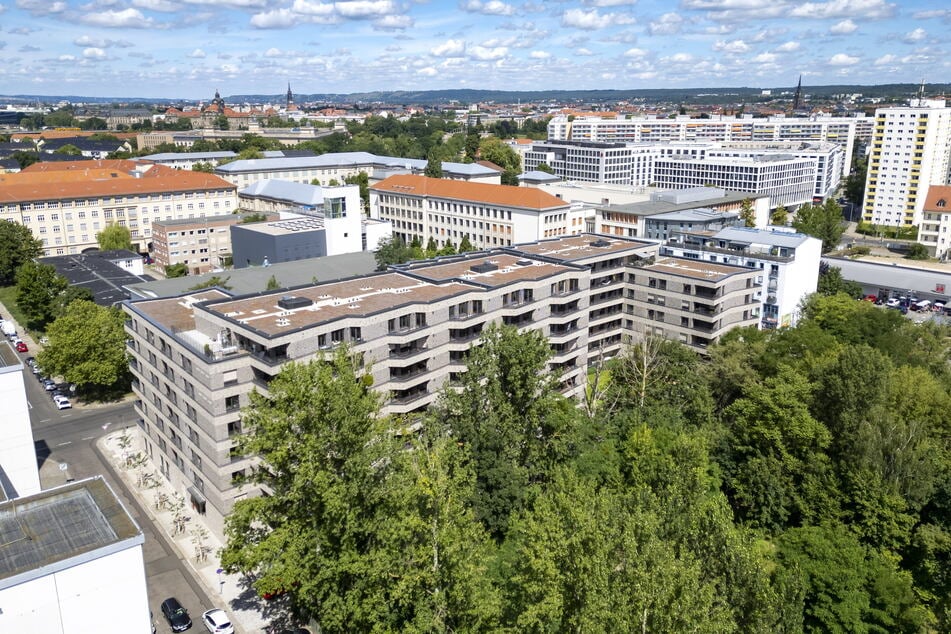 Wohnquartiere in der Johannstadt: Auch in Dresden wuchs der Bezieherkreis in den vergangenen Jahren spürbar an.