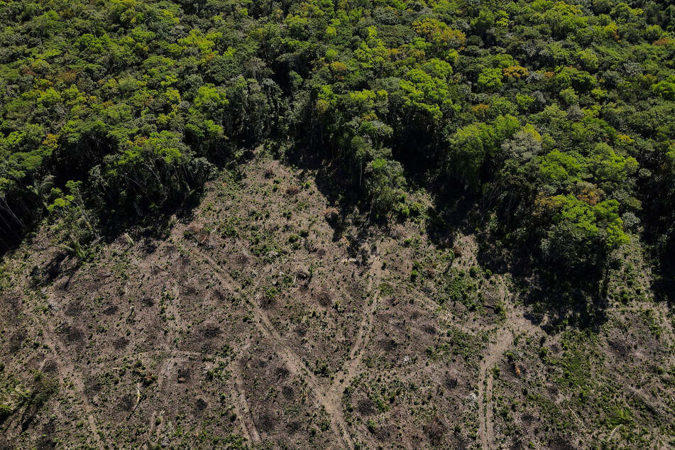 An aerial view shows a deforested plot of the Amazon rainforest in Manaus, Amazonas State, Brazil.