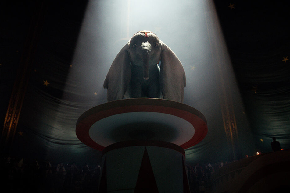 Muss über sich selbst hinauswachsen: Der goldige Elefant Dumbo.