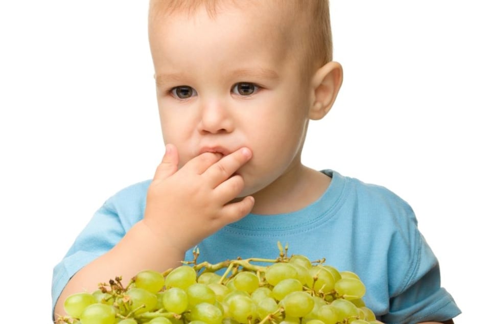 Weintrauben sollten für Kinder lieber zerkleinert werden.