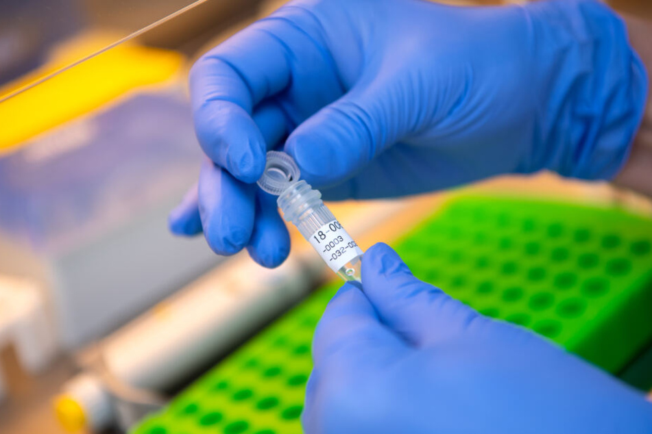 Eine Labormitarbeiterin im DNA-Labor des Bayerischen Landeskriminalamtes (LKA) bereitet eine DNA-Probe für die molekularbiologische Analyse vor.