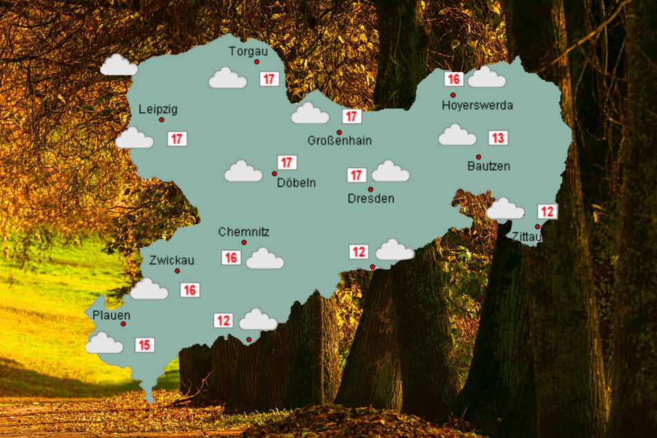 Die neue Woche in Sachsen wird wechselhaft, aber angenehm mild.