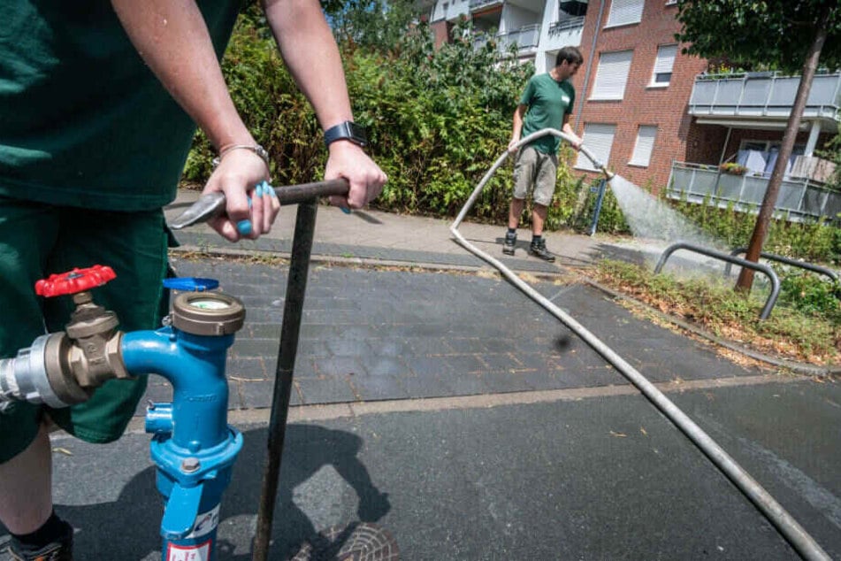 In Dürrephasen Stadt-Bäume gießen oder Wasser sparen? Mit dieser Frage haben sich Umweltschützer in Hessen beschäftigt.
