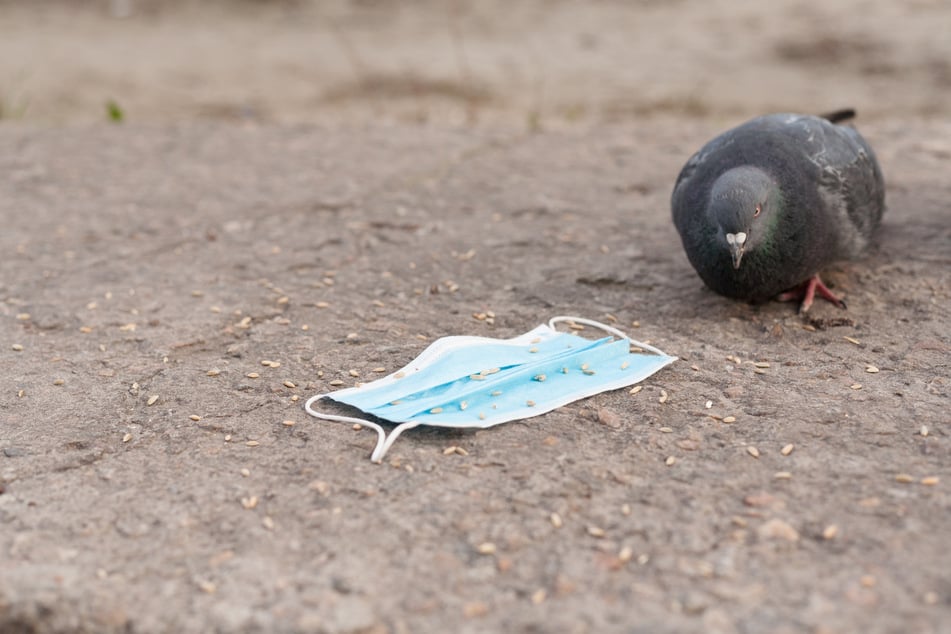 Gefahr auch für Tiere: Vögel können sich in den Bändern verheddern.