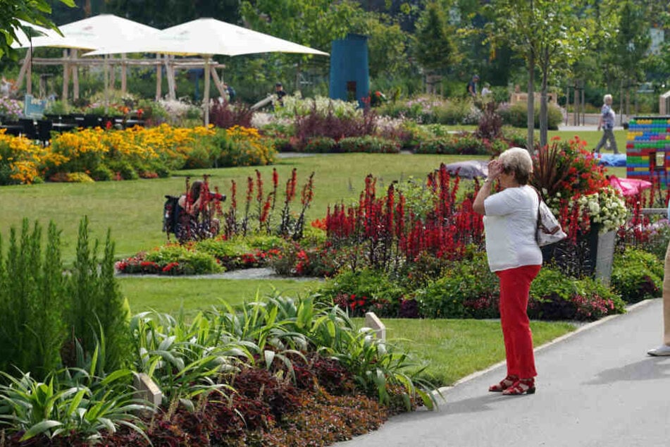 Die bunten Blüten der Landesgartenschau in Frankenberg zogen Tausende Besucher an. Jetzt werden viele Beete eingeebnet.