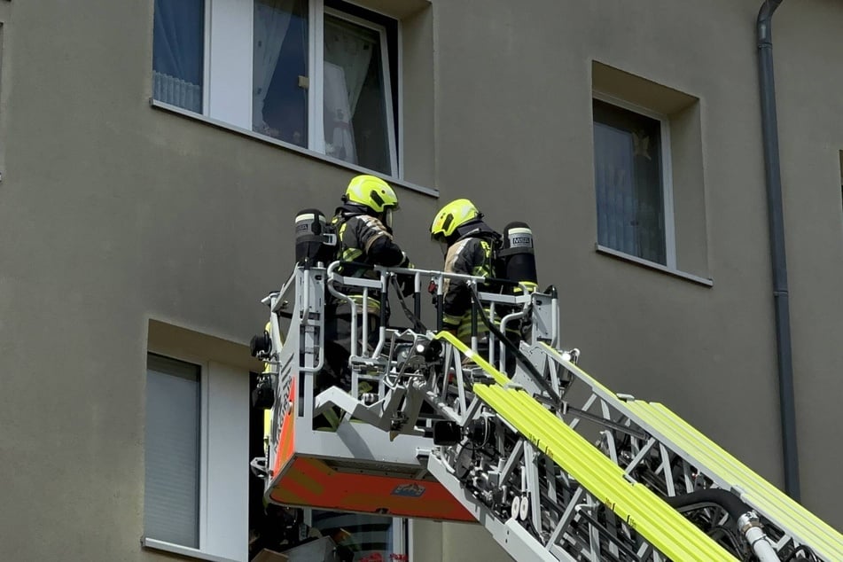Die Feuerwehr holte die Haustiere aus der Brandwohnung.