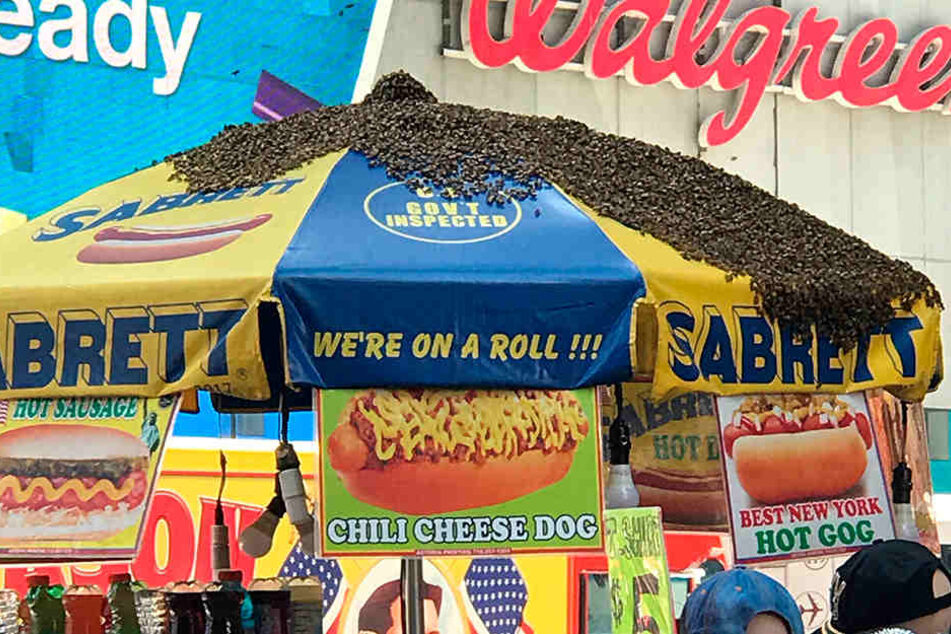 Der riesige Schwarm Bienen hatte sich auf dem Schirm über einem Hot-Dog-Stand am Times Square niedergelassen.