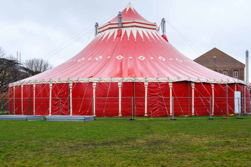 Die Diebe klauten ein Zirkuszelt samt Manege und Sitzkonstruktion. (Symbolbild)