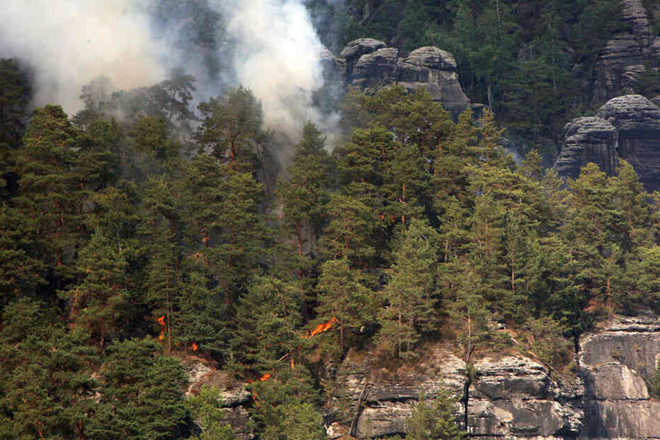 Bereits 2018 erlitten die sächsischen Wälder große Schäden durch das extreme Wetter. Im August brannte es im Nationalpark Sächsische Schweiz nahe der Bastei.