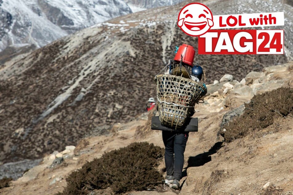 Joke of the Day for March 7, 2026: A cat joke for a Happy Caturday!