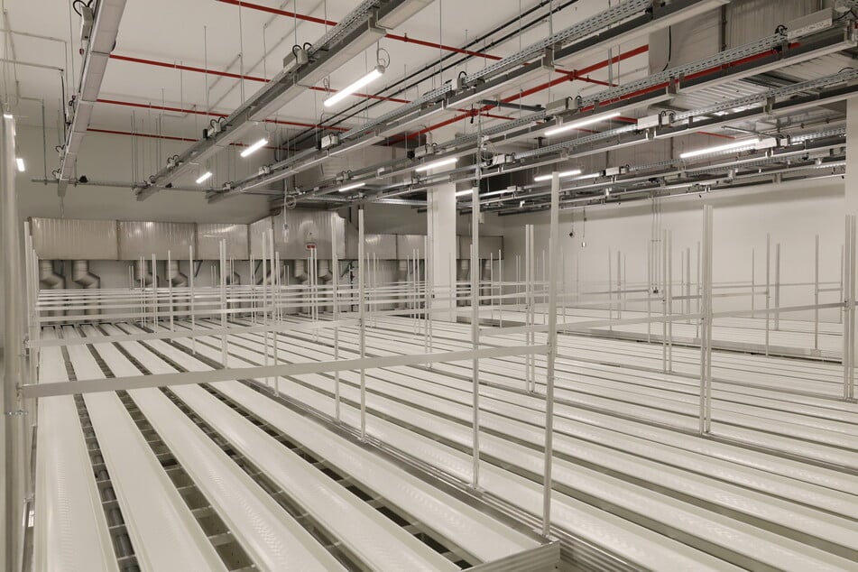 Eine von vier neuen Hallen, mit denen die Produktion bei Demecan auf rund 4,2 Tonnen Cannabis-Blüten pro Jahr erhöht wird.
