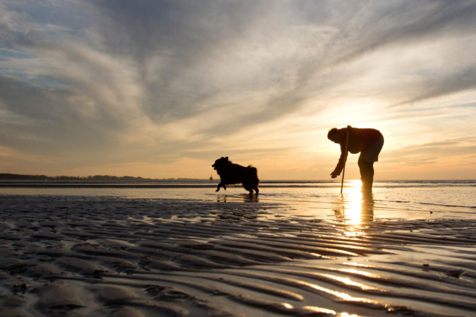 Eine Frau spaziert mit ihrem Hund im flachen Gewässer des Greifswalder Bodden.