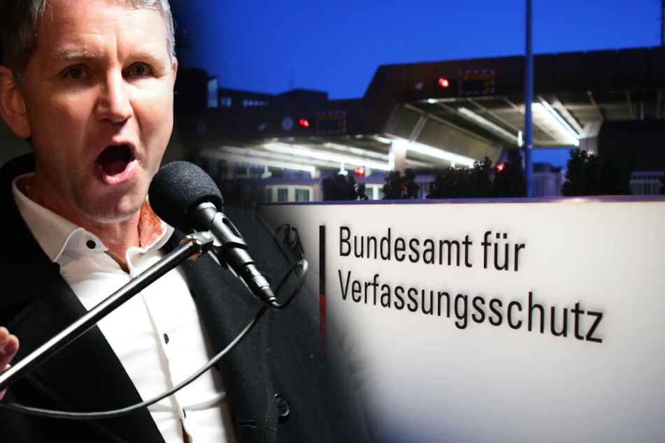 Unter Beobachtung: So gefährlich ist der AfD-"Flügel" um Björn Höcke