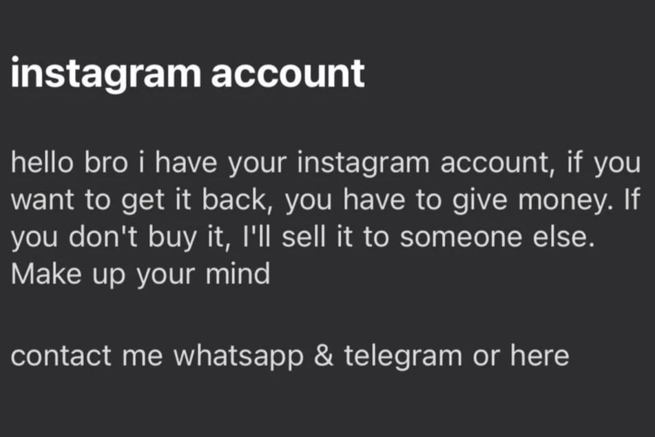 Ein Krimineller hat die Instagram-Seite eines Tierschutzvereins aus Duisburg gehackt und versucht nun, Geld zu erpressen.