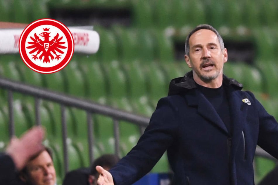 "Kragen geplatzt": Eintracht-Trainer Adi Hütter stinksauer auf Werder Bremen