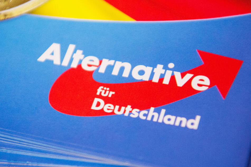 Die AfD-Fraktion unterstützt die Klage. (Symbolbild)