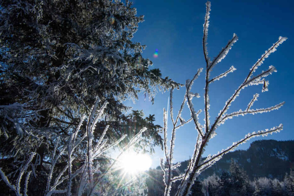 Bis zum Mittag sollte sie der Frost größenteils verzogen haben. (Symbolbild)