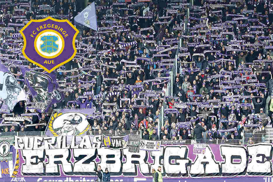 Lange war die Stimmung
im Erzgebirgsstadion
richtig gut - nach der
Partie gab es aber Pfiffe
von den Rängen.