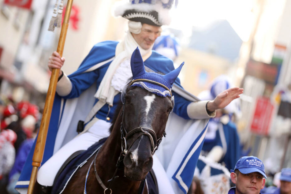 Die Regeln für Pferde beim Kölner Karneval sollen genau überprüft werden.