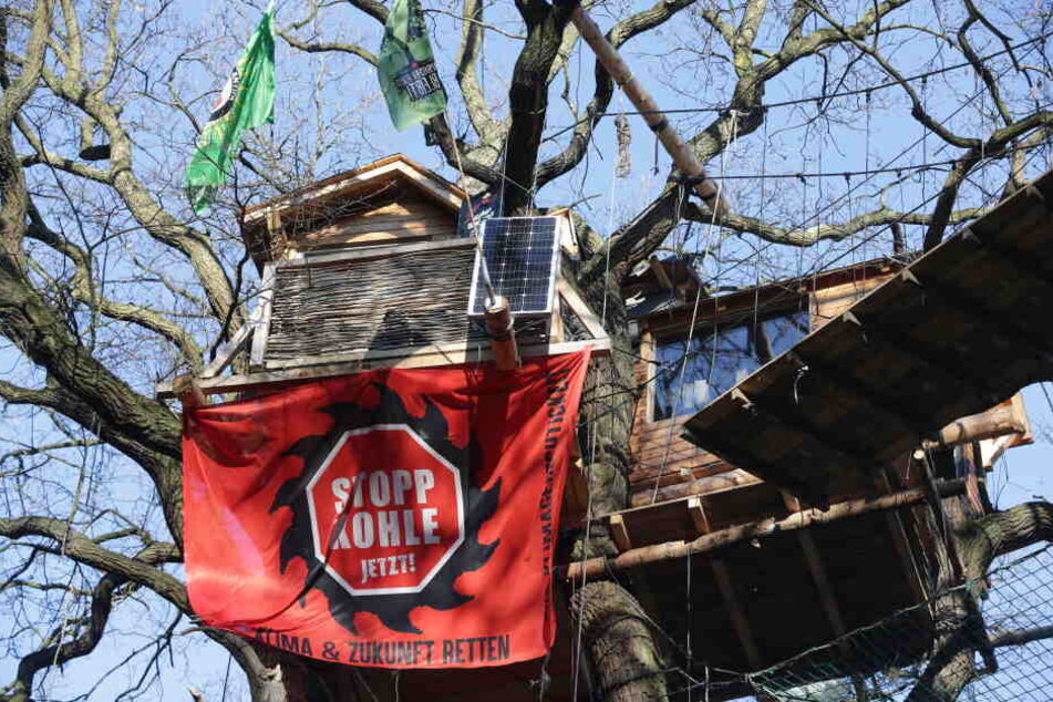 Ein Transparent "Stopp Kohle Jetzt!" an einem Baumhaus im Hambacher Forst.