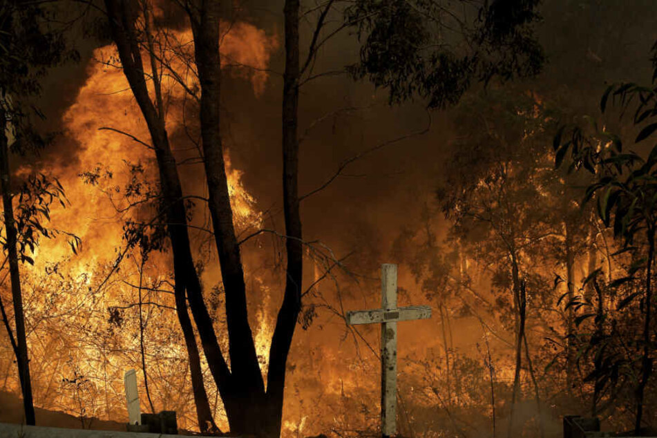 Das Hillville Buschfeuer brennt am Pacific Highway am Possum Brush. Buschbrände halten Australiens Bundesstaaten New South Wales und Queensland seit Oktober in Atem, beide Regionen haben den Notstand ausgerufen.