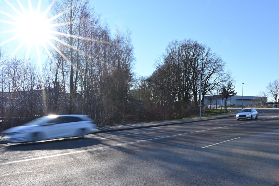 An der Kalkstraße Richtung Rabenstein soll der neue Dirtbike-Parcours entstehen.