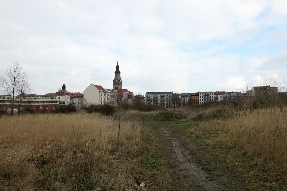 Leipzigs Stadtrat hat sich einmal mehr mit der Bebauung des Jahrtausendfeldes in Plagwitz befasst.