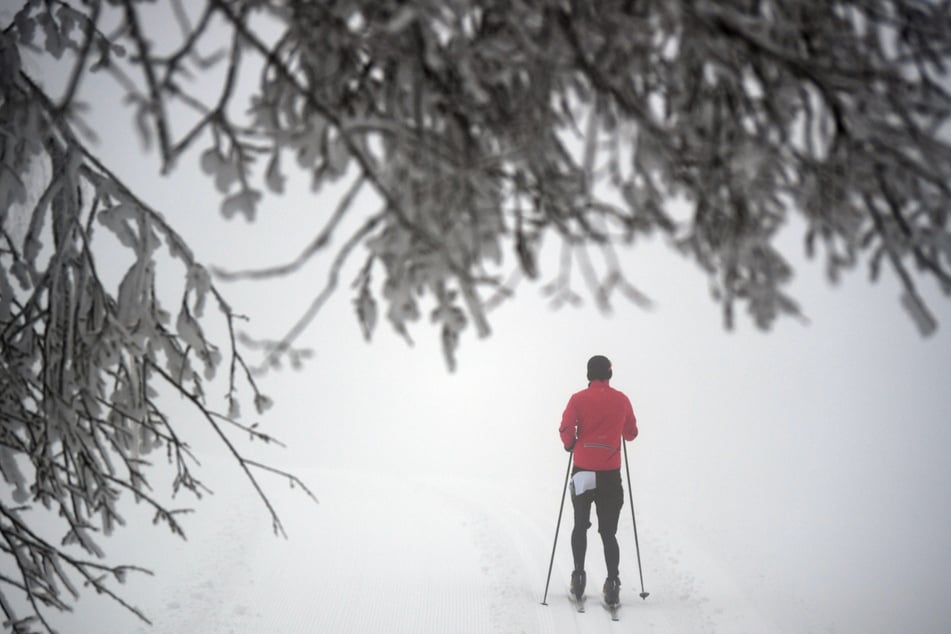 Ein Langläufer fährt auf dem Thurner an verschneiten Bäumen vorbei.