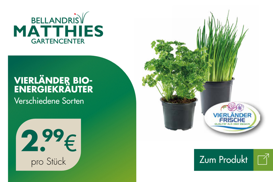 Vierländer Bio-Energiekräuter für 2,99 Euro