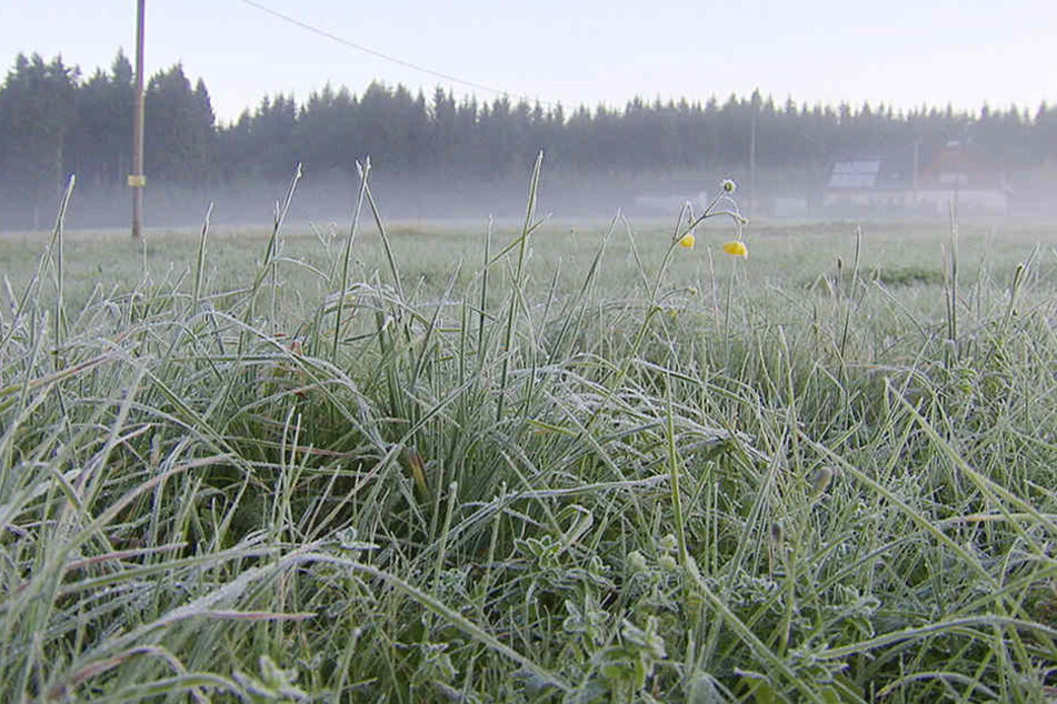 Frost im Erzgebirge: Am frühen Sonntagmorgen war es in Kühnhaide Minus 3 Grad kalt. (Archivbild)