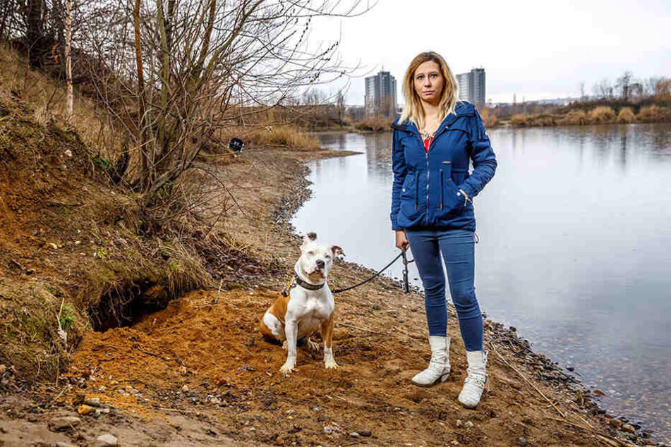 Hier buddelte die amerikanische Bulldogge Mila (3) die toten Meerschweine aus. Frauchen Anastasia (25) war schockiert.