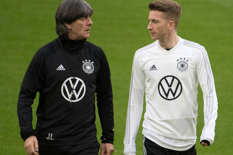 Marco Reus hätte gerne Mats Hummels wieder im DFB-Team, Joachim Löw bleibt jedoch hart und verzichtet auf den 30-Jährigen.