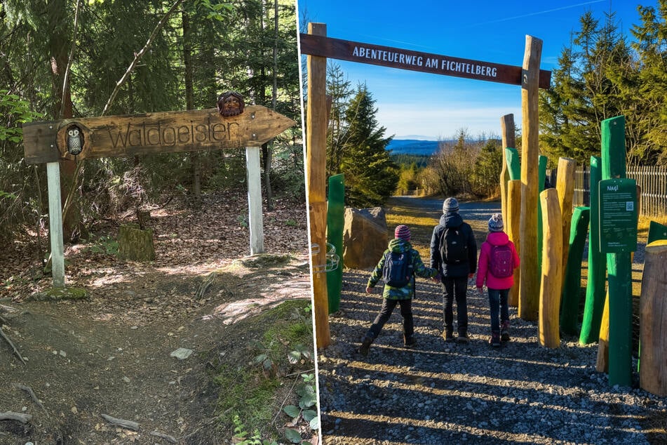 Auf diesen Wanderwegen im Erzgebirge hat die ganze Familie ihren Spaß