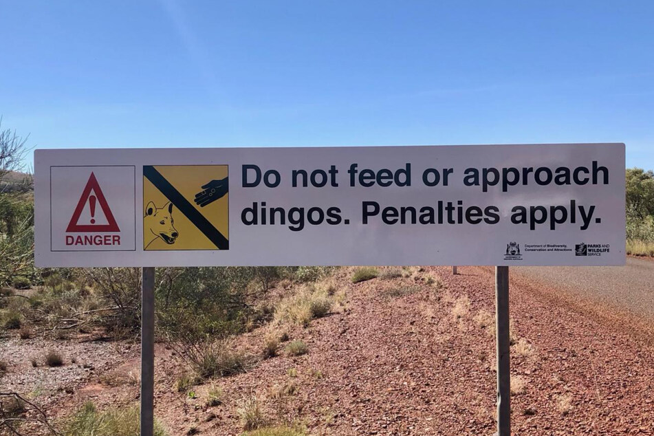 "Füttern sie oder nähern sie sich nicht den Dingos. Es drohen Strafen", heißt es auf einer Warntafel im Karijini National Park.