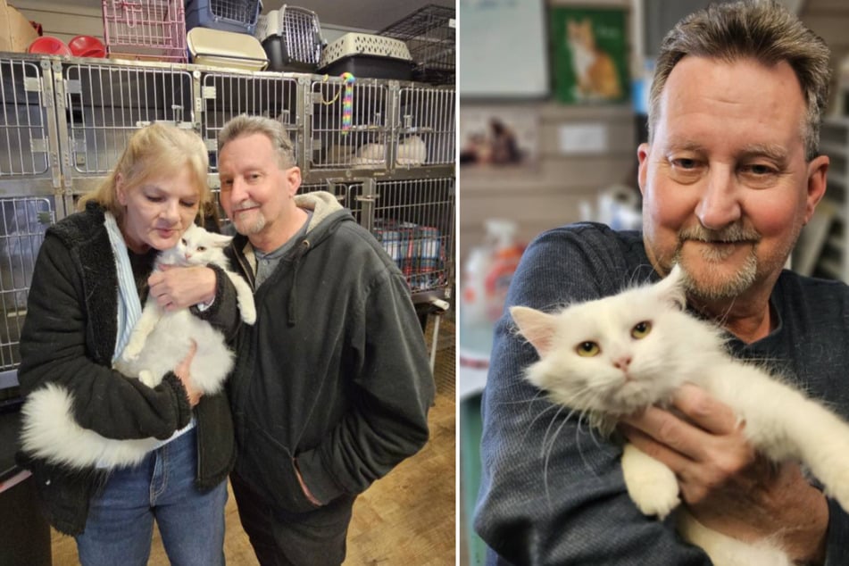 On the right is Ivory the cat, and on the left is Cirrus.