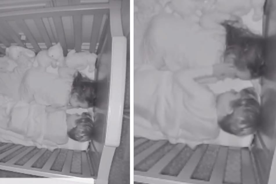 Sloan (4) und seine kleine Schwester Kaia (2) tauschten im Gitterbett süße Worte aus.