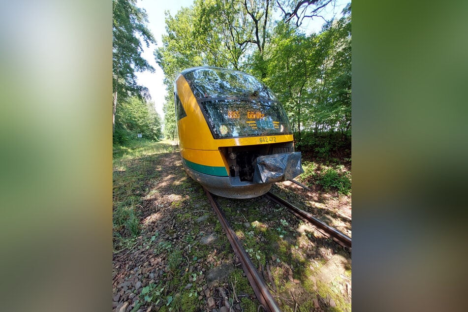 Die RB65 kollidierte am Dienstagvormittag mit einem Baum, der auf die Gleise gestürzt war.