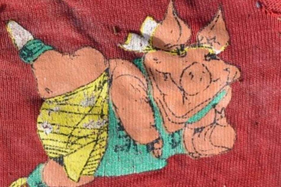 Dieses Schwein auf dem Comic-Slip gehörte zu der bislang unbekannten Wasserleiche.