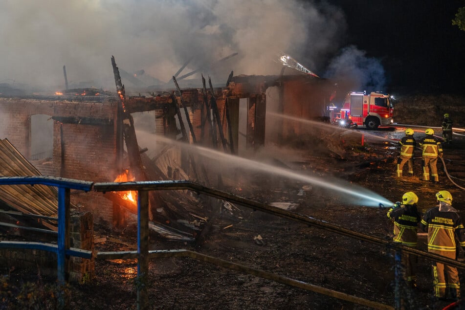 Verheerendes Feuer in Stallgebäude: 100 Kälber sterben in den Flammen