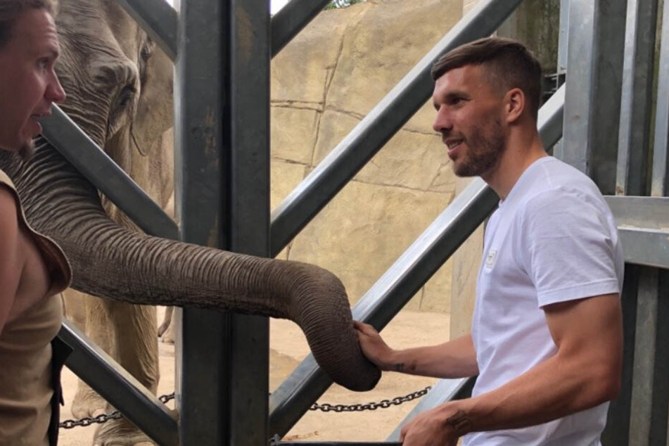 Lukas Podolski (34) geht auf Tuchfühlung mit Elefanten.