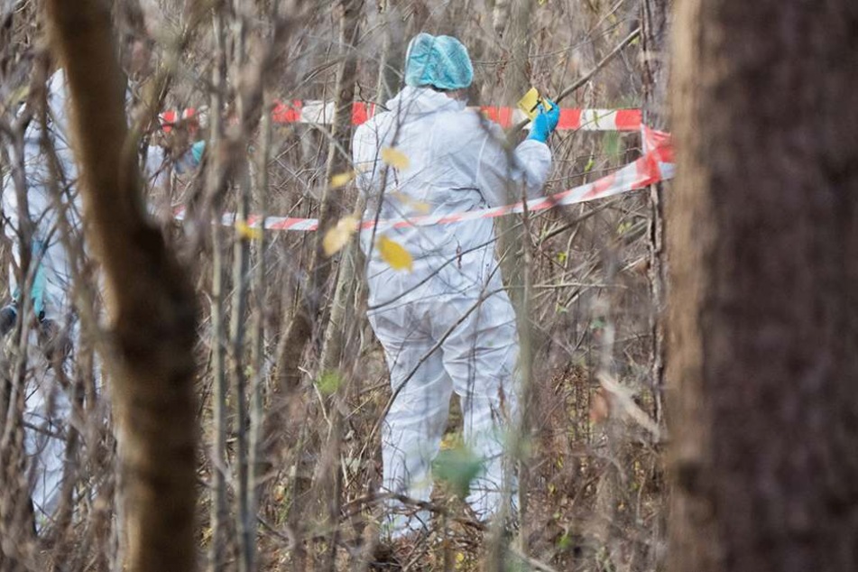 Die 15-Jährige wurde in einem Waldstück vergewaltigt (Symbolbild).