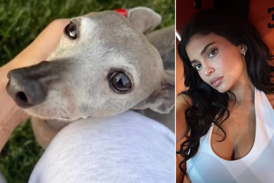 Kylie Jenner mourns death of her fan-favorite dog Norman: "My heart aches for you"