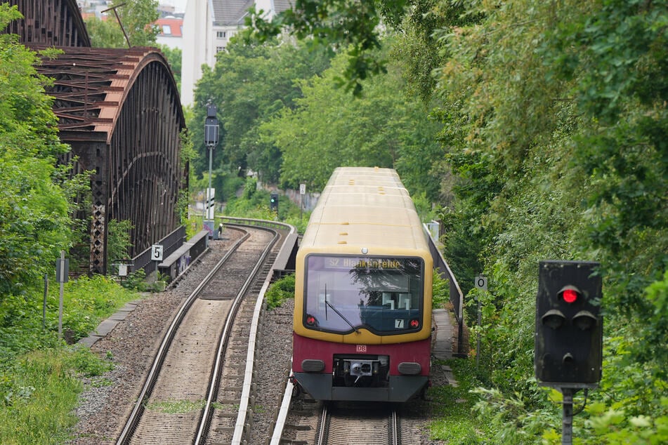 Auf mehreren S-Bahn-Linien kommt es derzeit zu Verspätungen und Ausfällen. (Symbolbild)