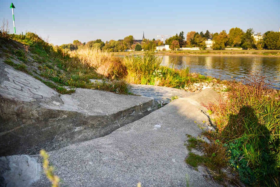 Die Experten vermuten, dass dieser Elbe-Auslass (wegen ausbleibenden Regens ebenfalls trocken) der Kanalisation den Mief verursachen könnte.