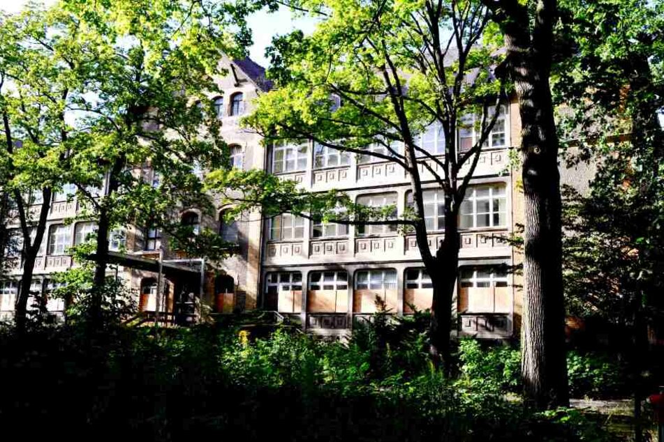 Der Bau der "Parkstadt Dösen" in Leipzig sorgt weiter für Ärger. Nun soll der NABU den Investor angezeigt haben.