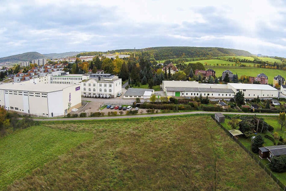 Seit 1906 stellen die Bombastus-Werke in Freital Tee und Arzneimittel her.